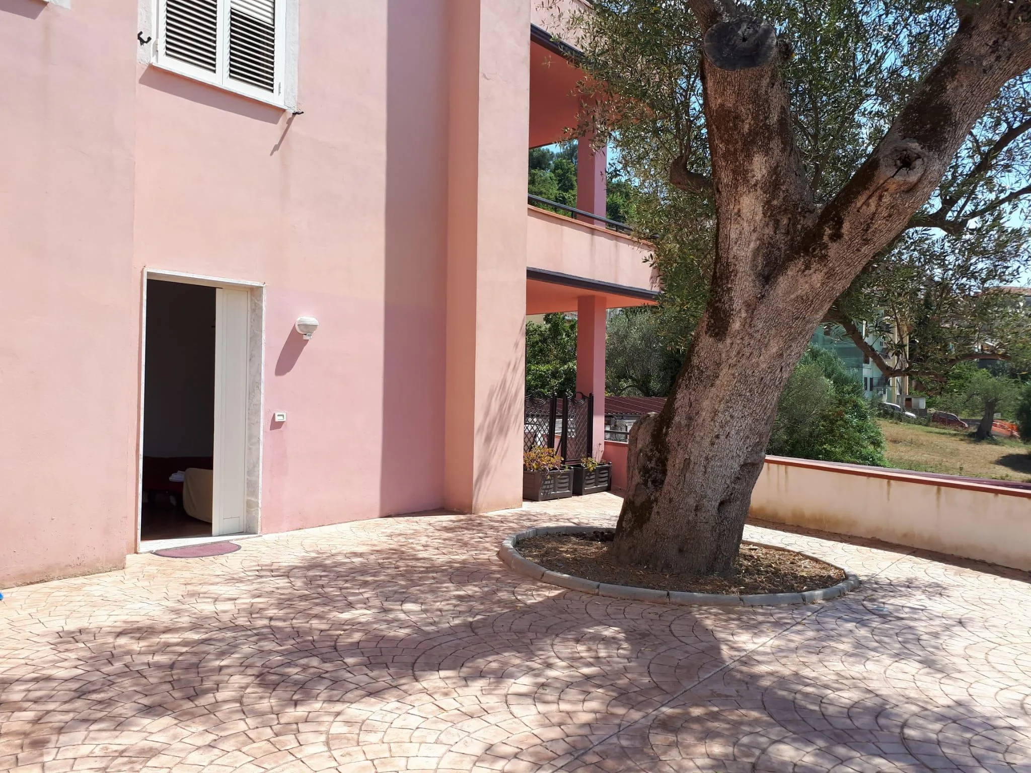 ingresso